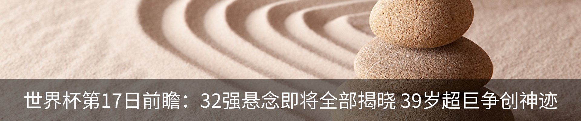 新闻动态