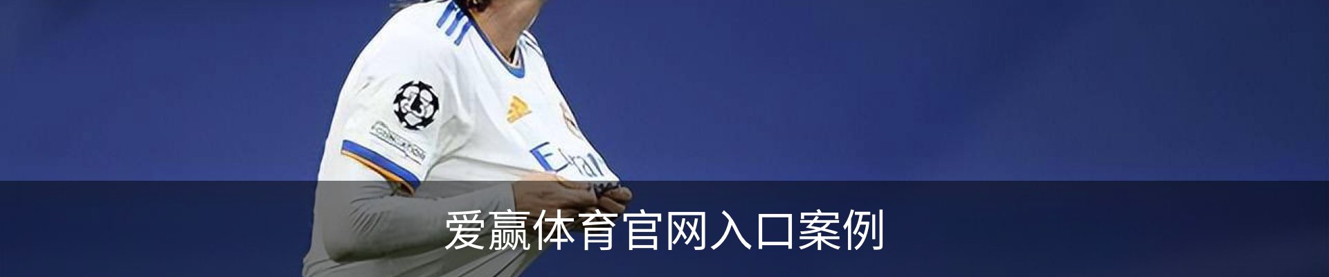 爱赢体育官网入口案例