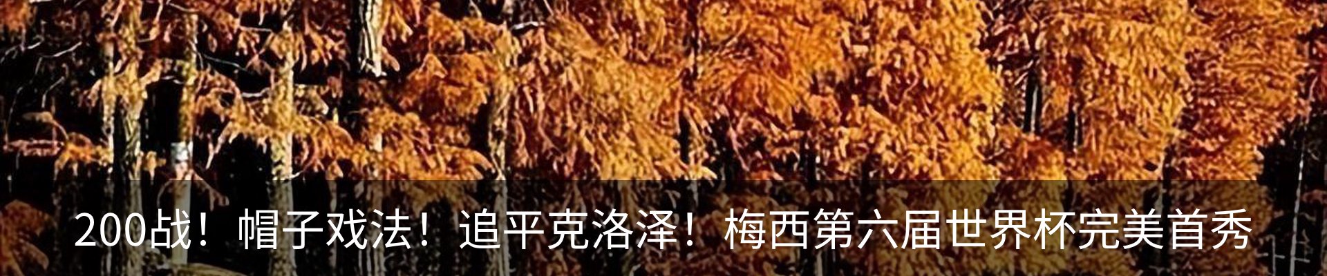新闻动态